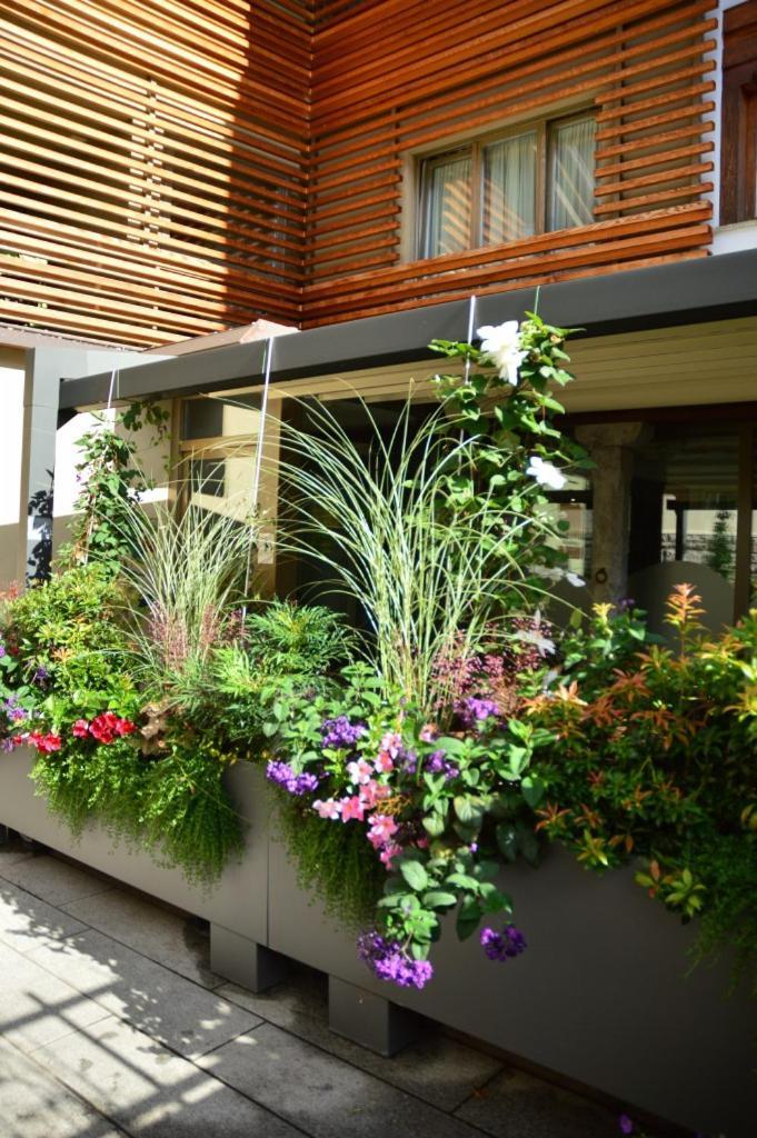 Locanda Blum In Rovetta Exterior photo